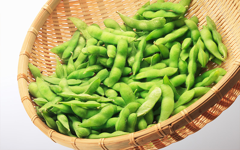 枝豆(小糸在来)